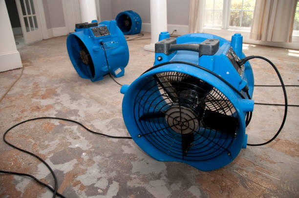 Woodlynne, NJ Water damage restoration Pros