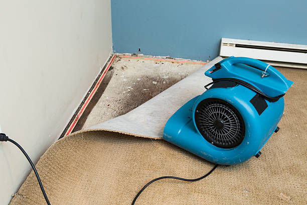 Best Basement water damage restoration  in Woodlynne, NJ